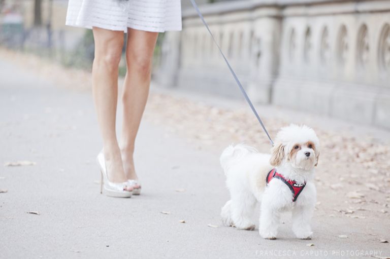 central-park-engagement-ml-photo_08