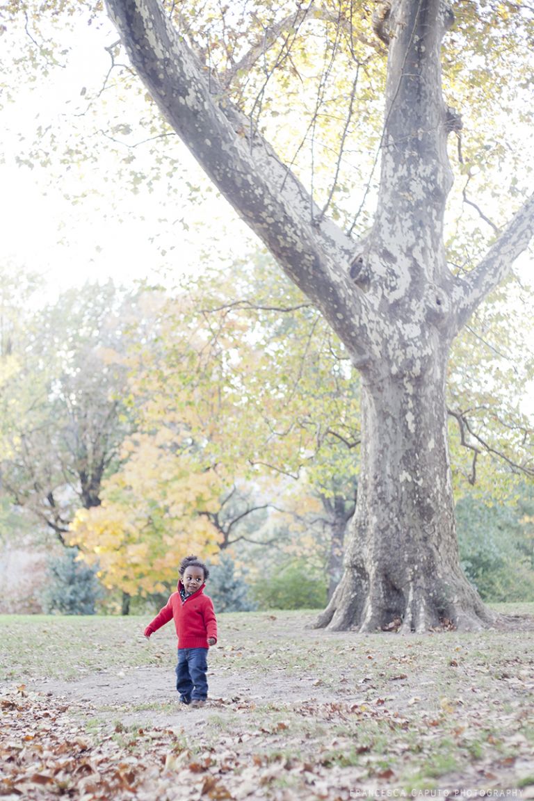 ny-fort-greene-family-photo_06