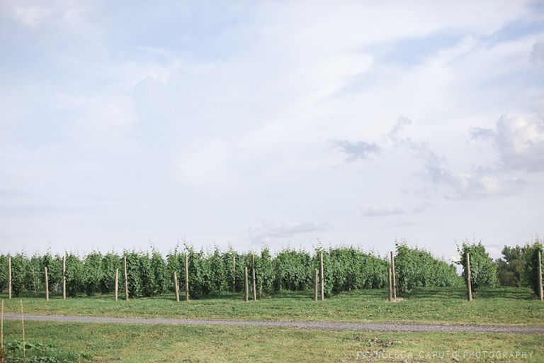 milton-ny-vineyard-wedding-photo_39