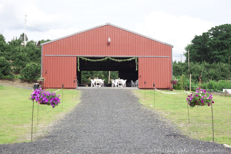 milton-ny-vineyard-wedding-photo_42